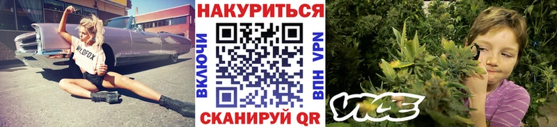 Где купить наркоту Сертолово Псилоцибиновые грибы КОКАИН Мефедрон Каннабис ГАШИШ