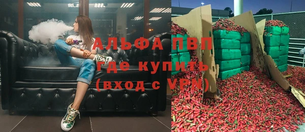 стаф Баксан